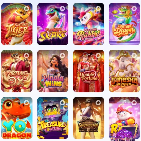 Usuário acessando serviços VIP de forma segura